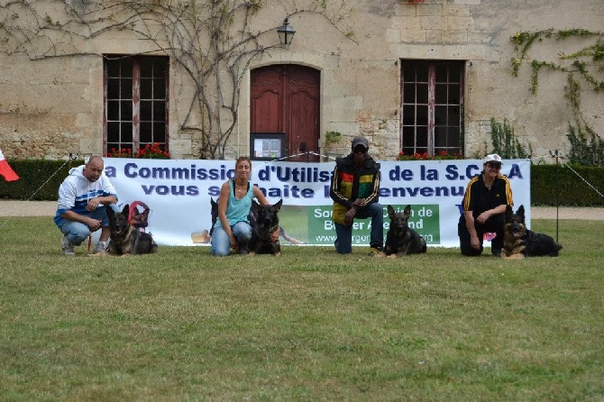 XIVème Nationale de Travail du Berger Allemand au Château de Neuvic