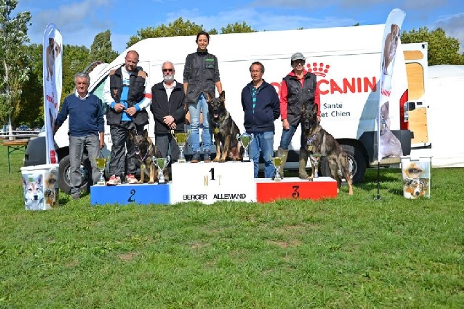 XVème Nationale de Travail du Berger Allemand à Chalon sur Saone